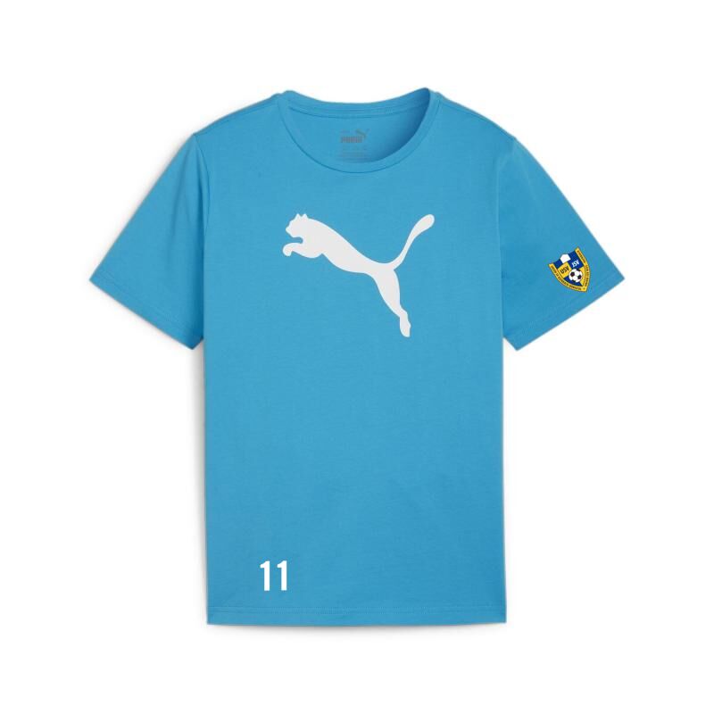 5085 23110 47f54d13efe8 baumwollshirt jersey 00 li l re speed blue puma white.jpg