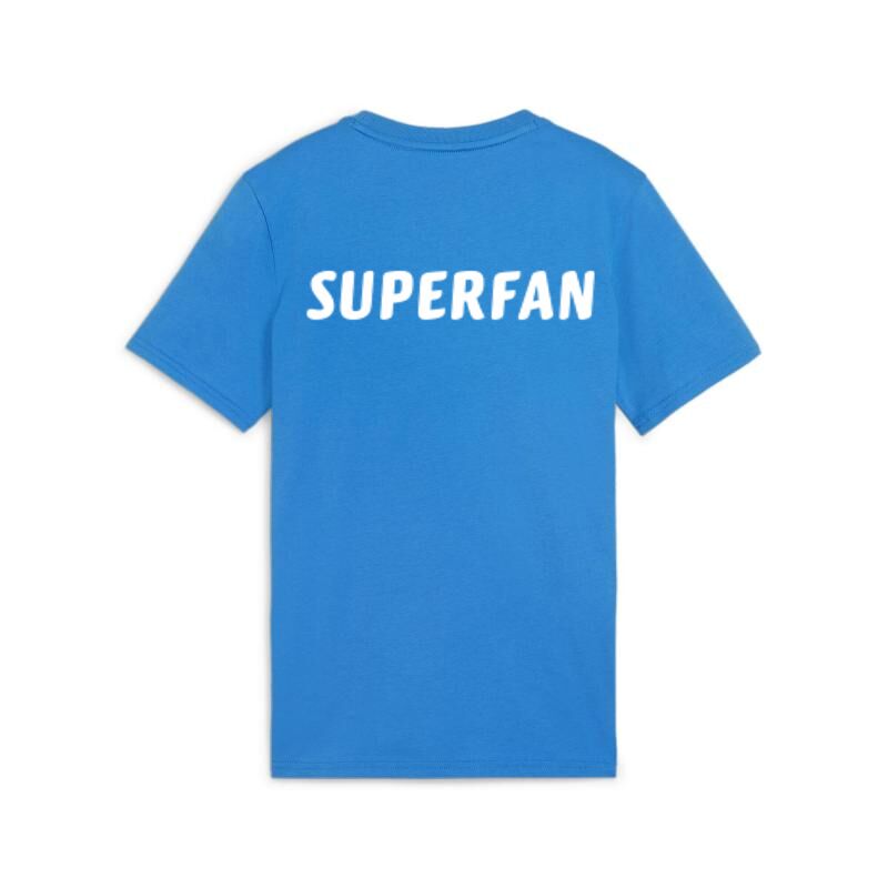 5574 23265 79cf258e3fb6 teamgoal casuals tee jr logo vorne merch hinten ignite blue puma white 2.jpg